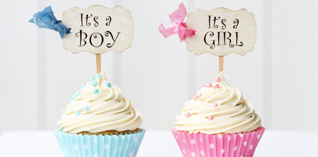 Boy or Girl Baby Gender Scan