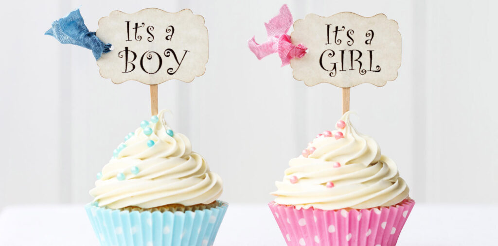 Boy or Girl Baby Gender Scan