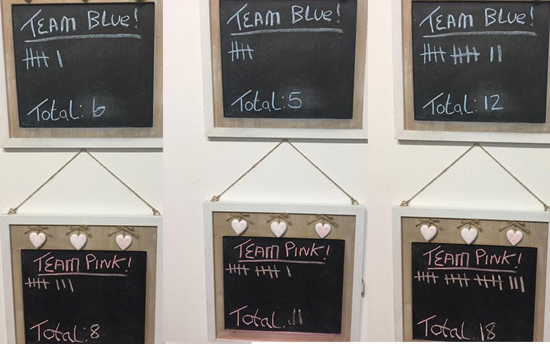 Tally chart of Team Blue or Team Pink