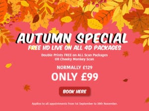 Peek-a-Baby Autumn Special banner