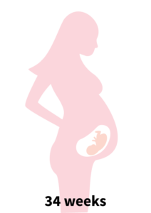 Pregnancy Stage 6 - 34 weeks