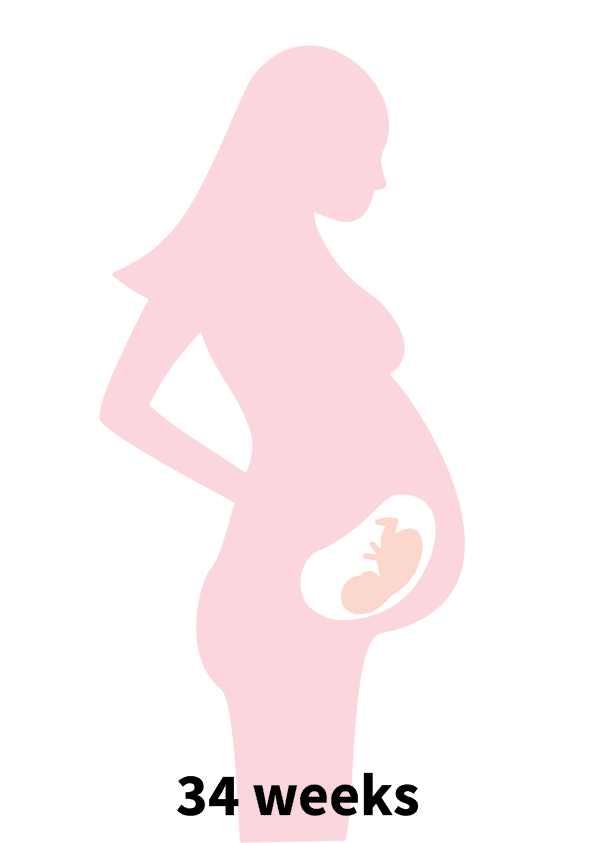 Pregnancy Stage 6 - 34 weeks