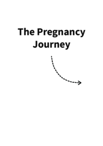 Pregnancy Stages
