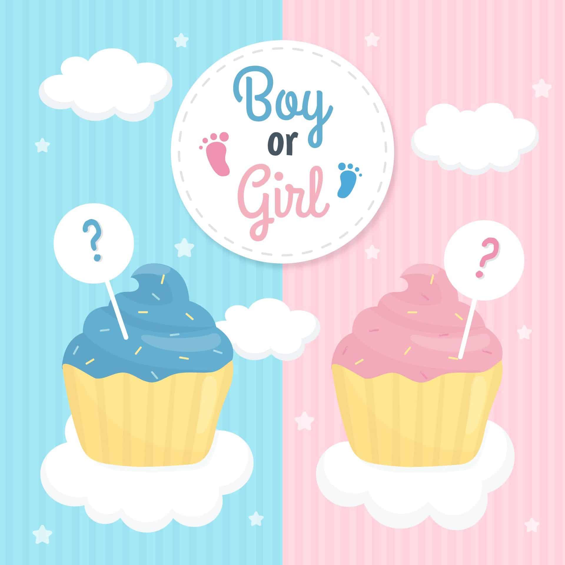 Boy or Girl cartoon cupcakes for gender reveal