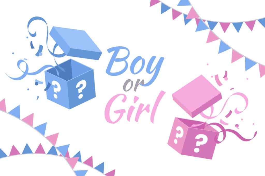 Boy or Girl mystery boxes