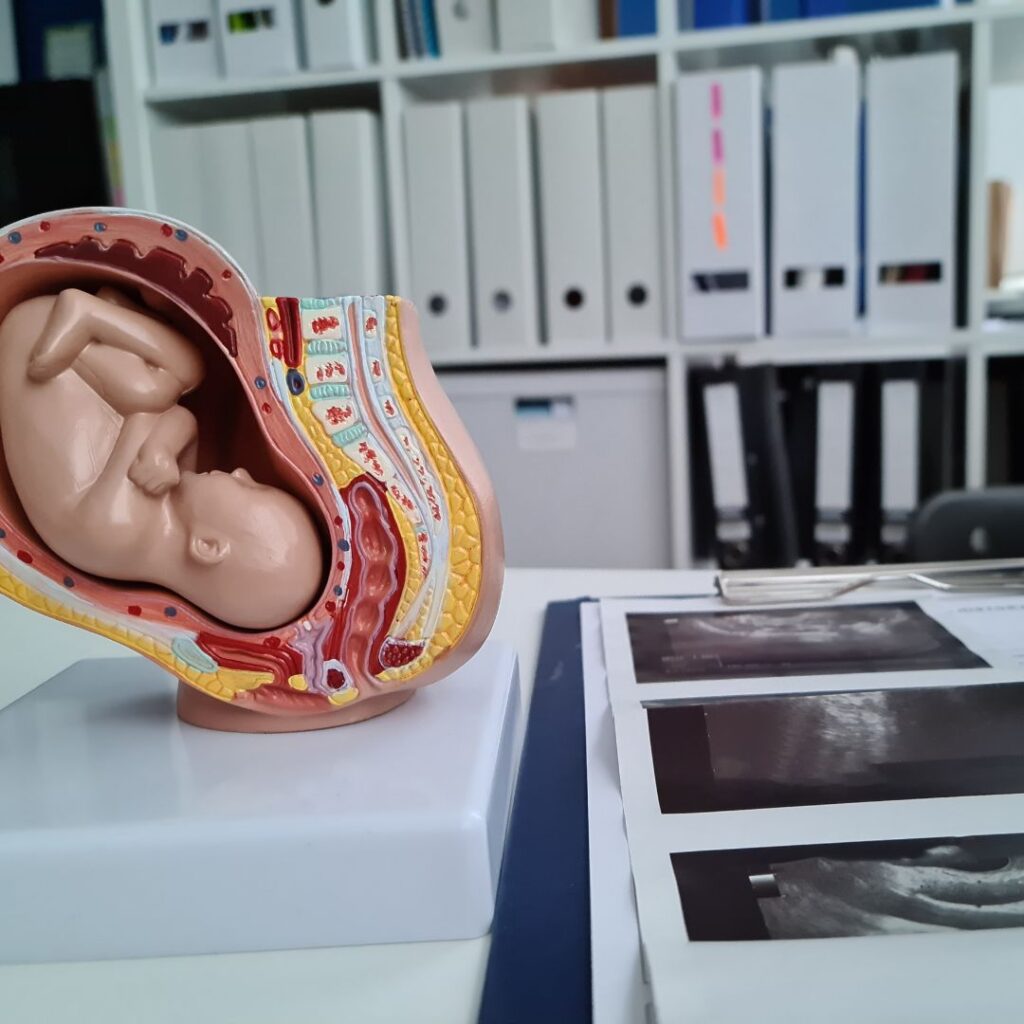 Anomaly Scan | Pregnancy Scans | Peek A Baby