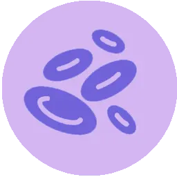 Beta HCG Blood Test Icon
