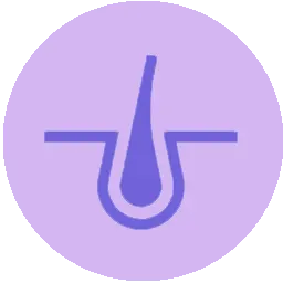 Follicle Stimulating Hormone Blood Test Icon